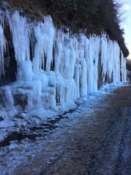 maricella03 nudes star images