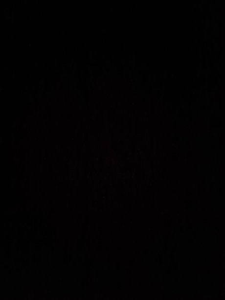 Maxihunter01 adult star img