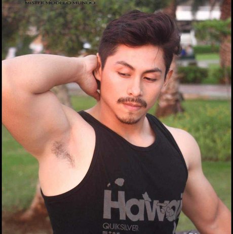 valentino balvin pornstar sexy archive