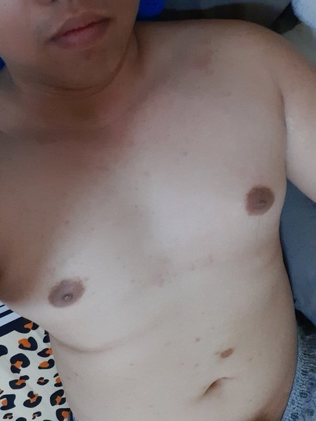 Bank Bear star free pics