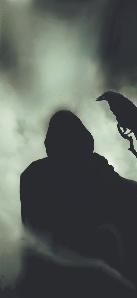 Black 1 nice star galleries