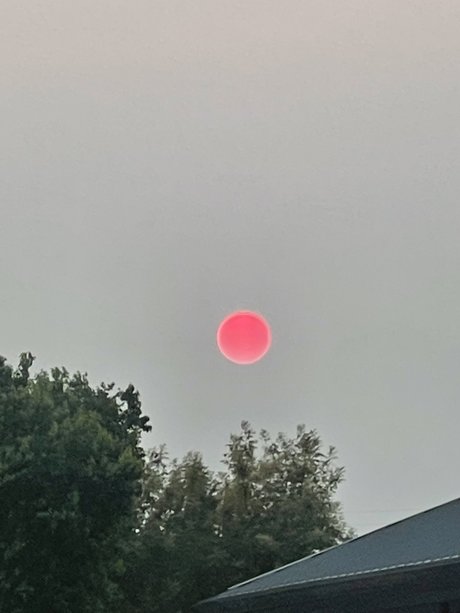 Matthew Cork model adult pictures