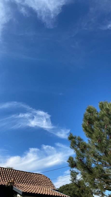 Tayou78 nudes model image