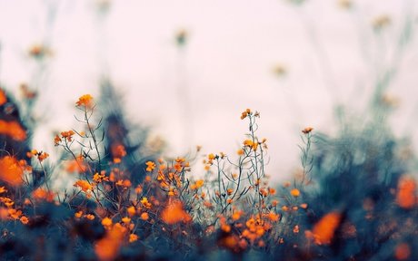 Mary Divine nude actress pics