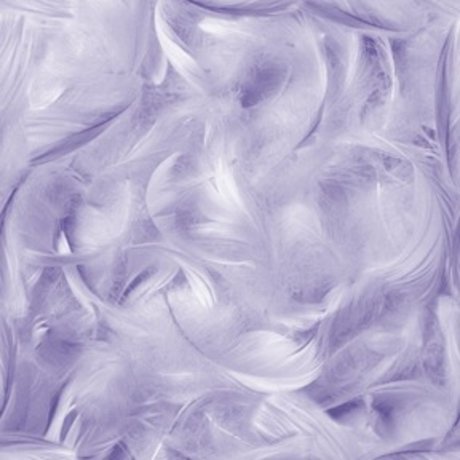 Blanca Darling pornstar adult pictures