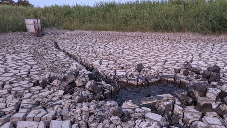 BannerQS beautiful actress galleries