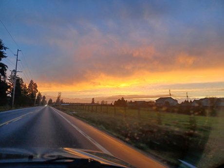 Mir xxx actress photos