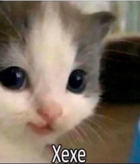 Max Rid pornstar exclusive photos