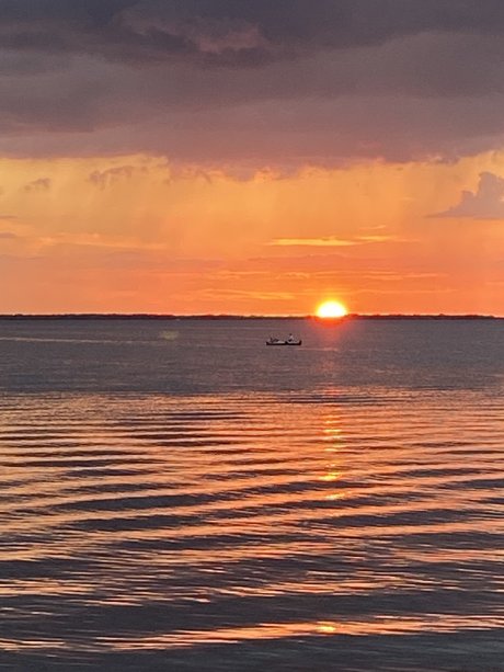 Mersea exclusive star images