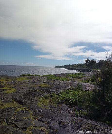 Brandon Blye pornstar xxx archive