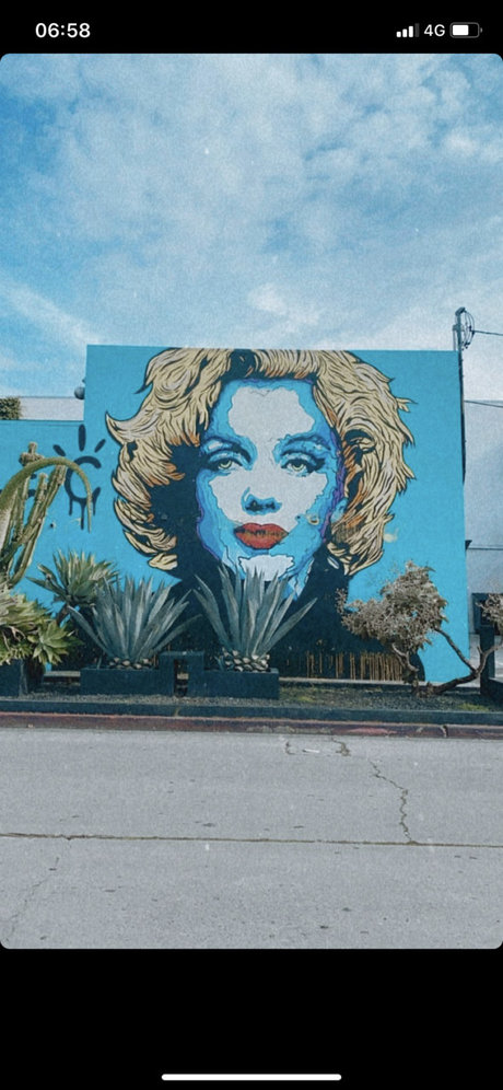 bonnie star high quality pictures