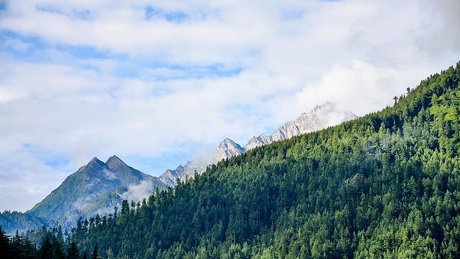 Bela San TS model pornographic photo