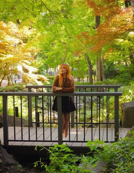 shelbygraces star pornographic image