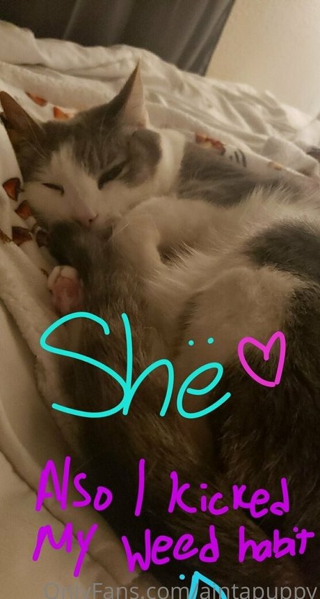 Aintapuppy exclusive pornstar pics