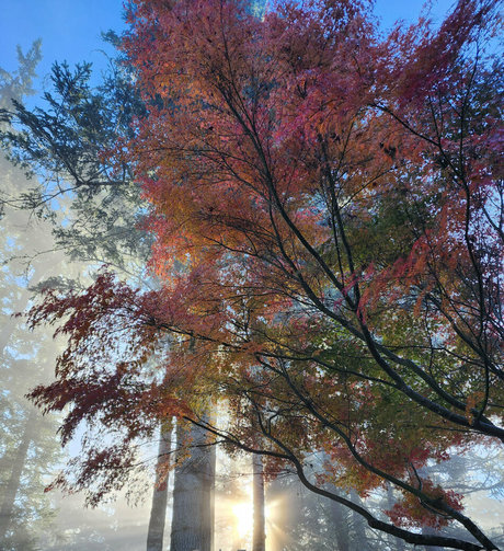 bodybuilder nude onlyfans hd images