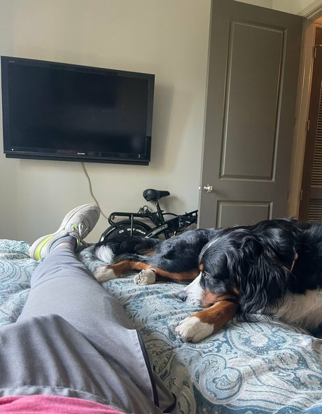 tiktokcody pretty actress image