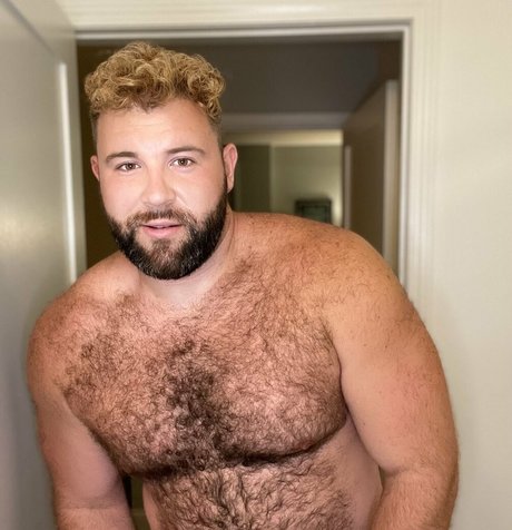 ste3evn star free pictures