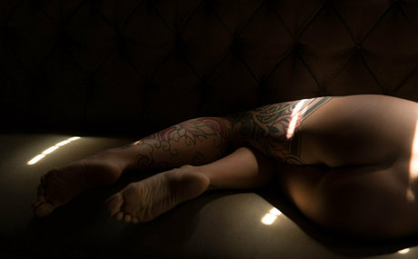 poly luna star hd gallery