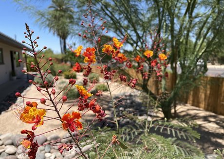 zendenjen69 art model pics