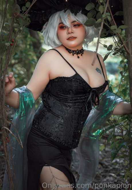 ponkapion sex actress picture