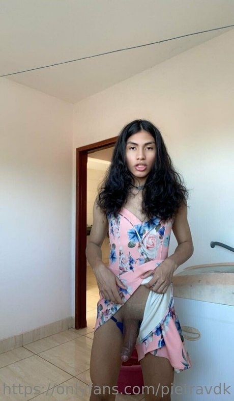 pietravdk model best archive