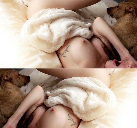 nevamore model perfect img