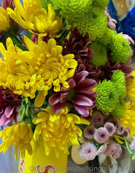 hellsingqueen666 star pornographic gallery