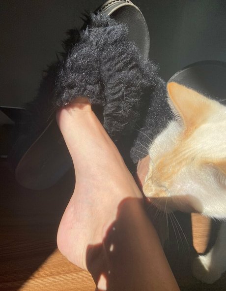 sofialutfree perfect model photo