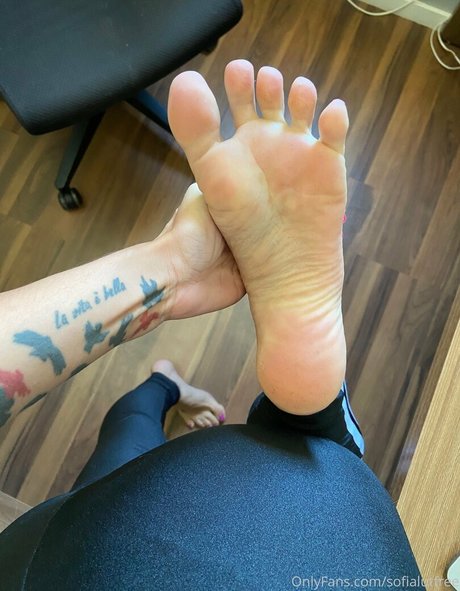 sofialutfree star adult img