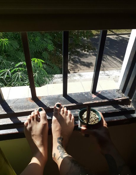 fasita art model img