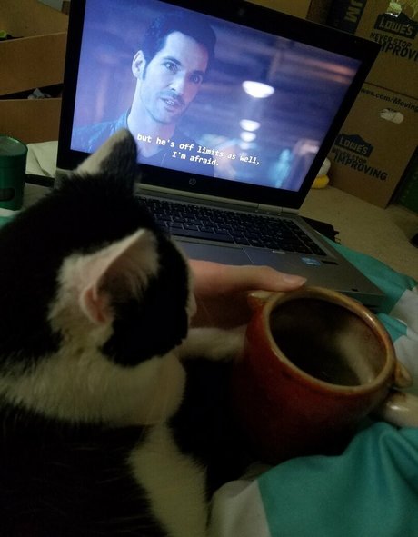 sqregina art model images