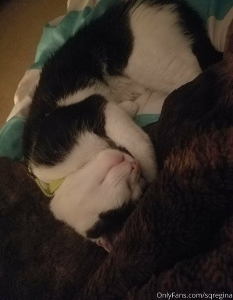 sqregina beautiful model img