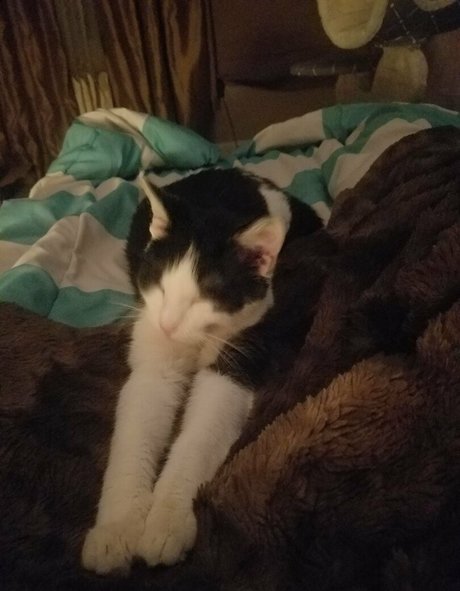 sqregina best pornstar pic