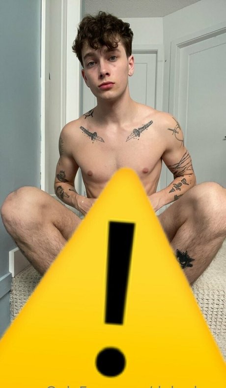 dakarluca high quality star galleries