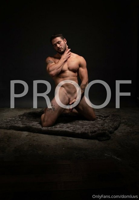 domluvsfree high quality model image