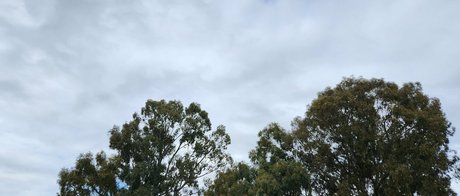 snacksixfree star perfect picture