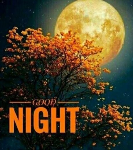 arab femboy onlyfans beautiful naked galleries