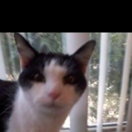 Super mario gaxelly beautiful model pics