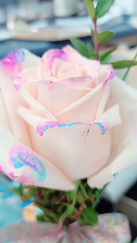 bigeddygurl free actress picture