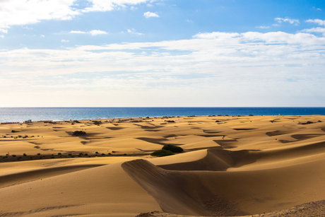 Dutchmguy87 erotic star image