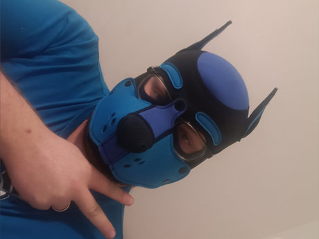 BlueSexyPup star perfect photo