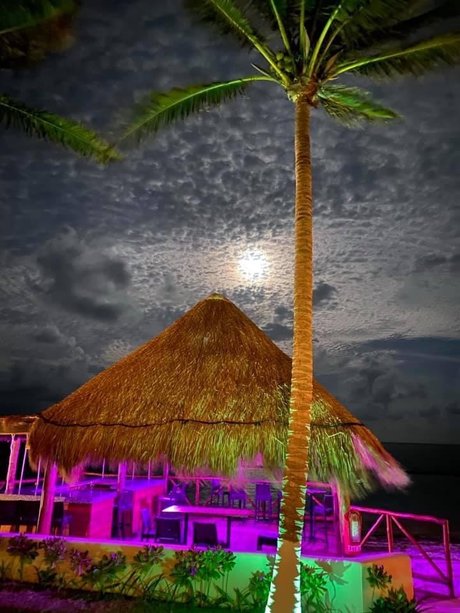 Mex4BBC nude actress pic