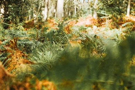 Verde sex pornstar photos