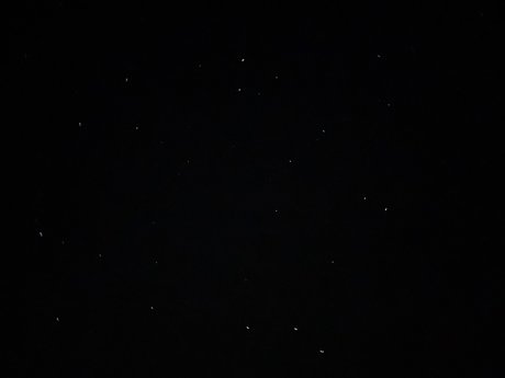 Laila Rose model nice archive