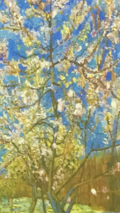 fawn_ free model galleries