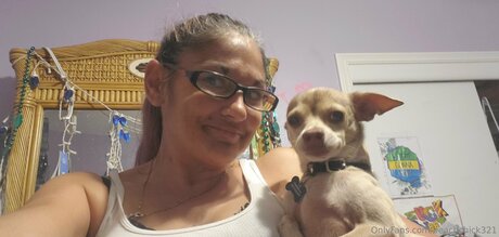 Beach Chick 321 Quick model image