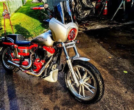 DV D pretty pornstar picture