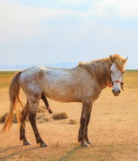 BigDickDaddy901 hd pornstar archive