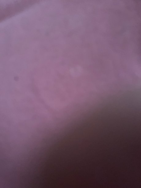 Michele Alexandriaa perfect actress pics