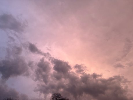 CompetitiveT_ pretty star gallery